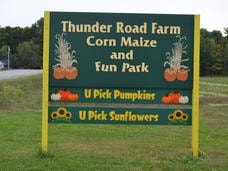 Thunder Road Farm Corn Maze and Fun Park – U-Pick Pumpkins and U-Pick Sunflowers sign