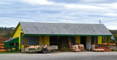 Thunder Road Farm roadside stand on Route 7, Corinna, Maine